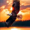 RiSe